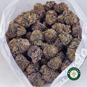 Buy Pink Tuna AAAA wc cannabis weed dispensary & online pot shop Buy Pink Tuna AAAA wc cannabis weed dispensary & online pot shop