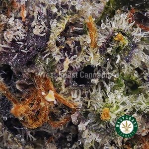 Buy Platinum Bubba AAAA (Popcorn Nugs) wc cannabis weed dispensary & online pot shop