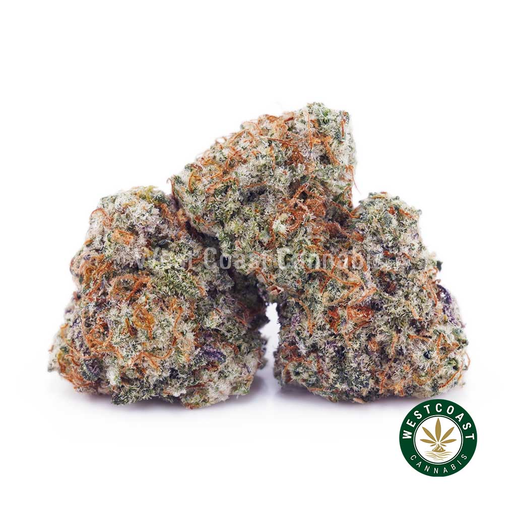 Platinum Do Si Do AAAA (Popcorn Nugs) 1 Platinum Do Si Do AAAA (Popcorn Nugs) 1