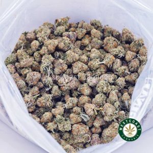 Platinum Do Si Do AAAA (Popcorn Nugs) 3 Platinum Do Si Do AAAA (Popcorn Nugs) 3