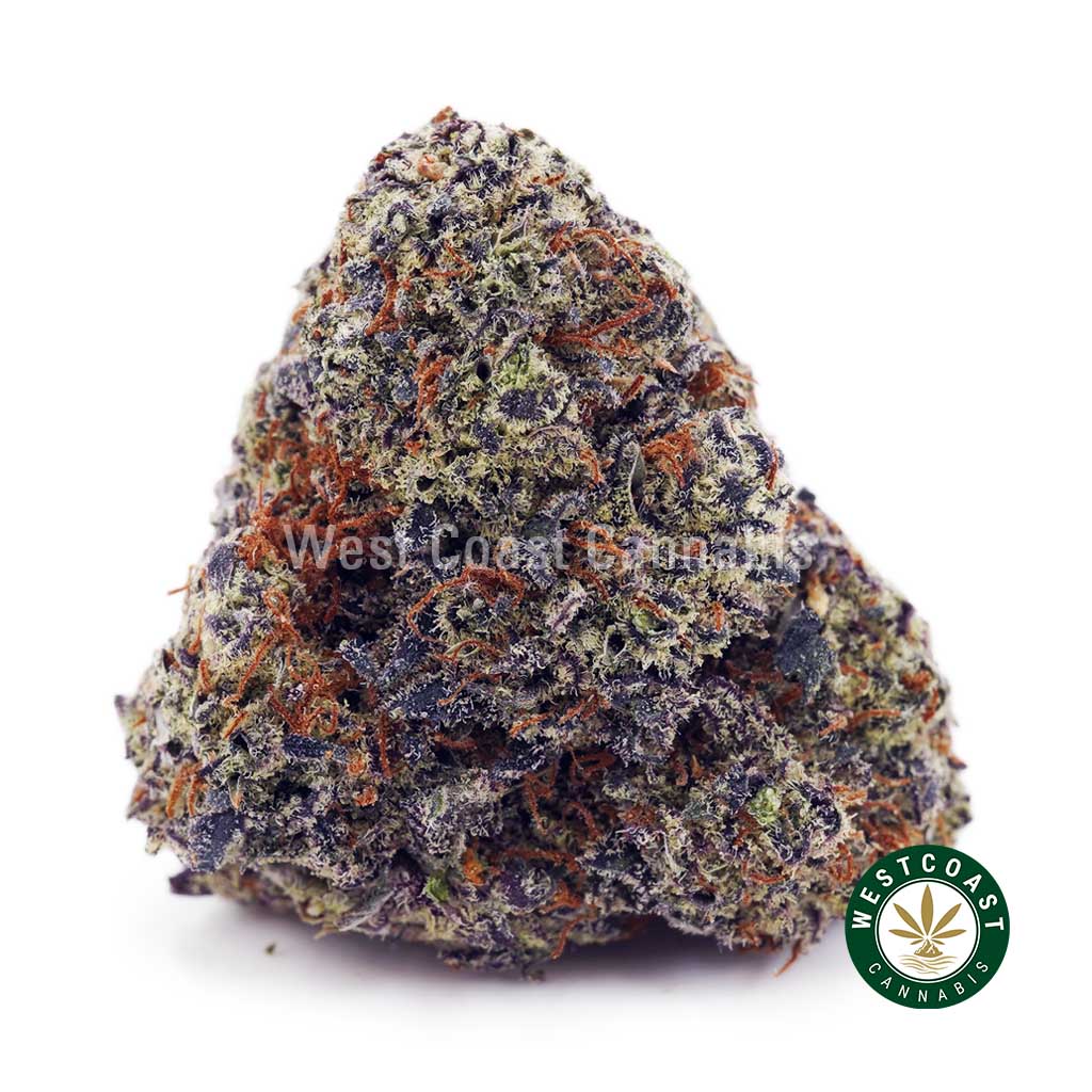 Buy Purple Freeze AAAA wc cannabis weed dispensary & online pot shop Buy Purple Freeze AAAA wc cannabis weed dispensary & online pot shop
