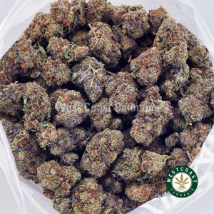 Buy Purple Freeze AAAA wc cannabis weed dispensary & online pot shop Buy Purple Freeze AAAA wc cannabis weed dispensary & online pot shop