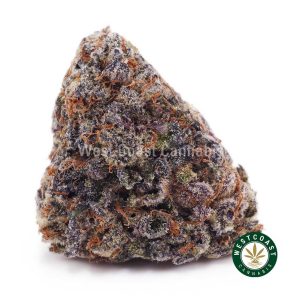 Buy Purple Punch AAAA wc cannabis weed dispensary & online pot shop