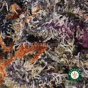 Buy Purple Punch AAAA wc cannabis weed dispensary & online pot shop