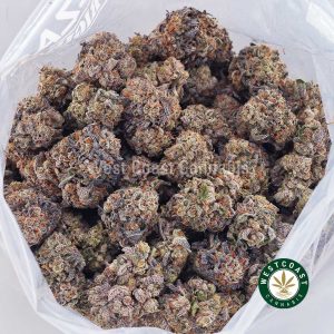 Buy Purple Punch AAAA wc cannabis weed dispensary & online pot shop Buy Purple Punch AAAA wc cannabis weed dispensary & online pot shop