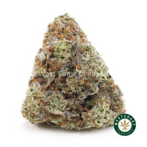 Buy Shiva Skunk wc cannabis weed dispensary & online pot shop