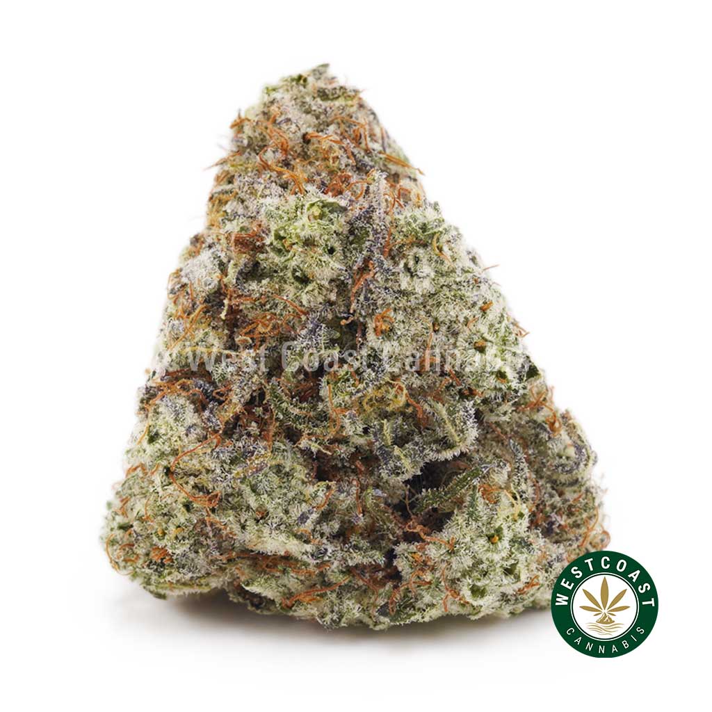 Buy Shiva Skunk wc cannabis weed dispensary & online pot shop Buy Shiva Skunk wc cannabis weed dispensary & online pot shop