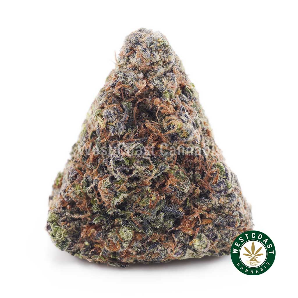 Buy Snoop Dog OG AAAA wc cannabis weed dispensary & online pot shop Buy Snoop Dog OG AAAA wc cannabis weed dispensary & online pot shop