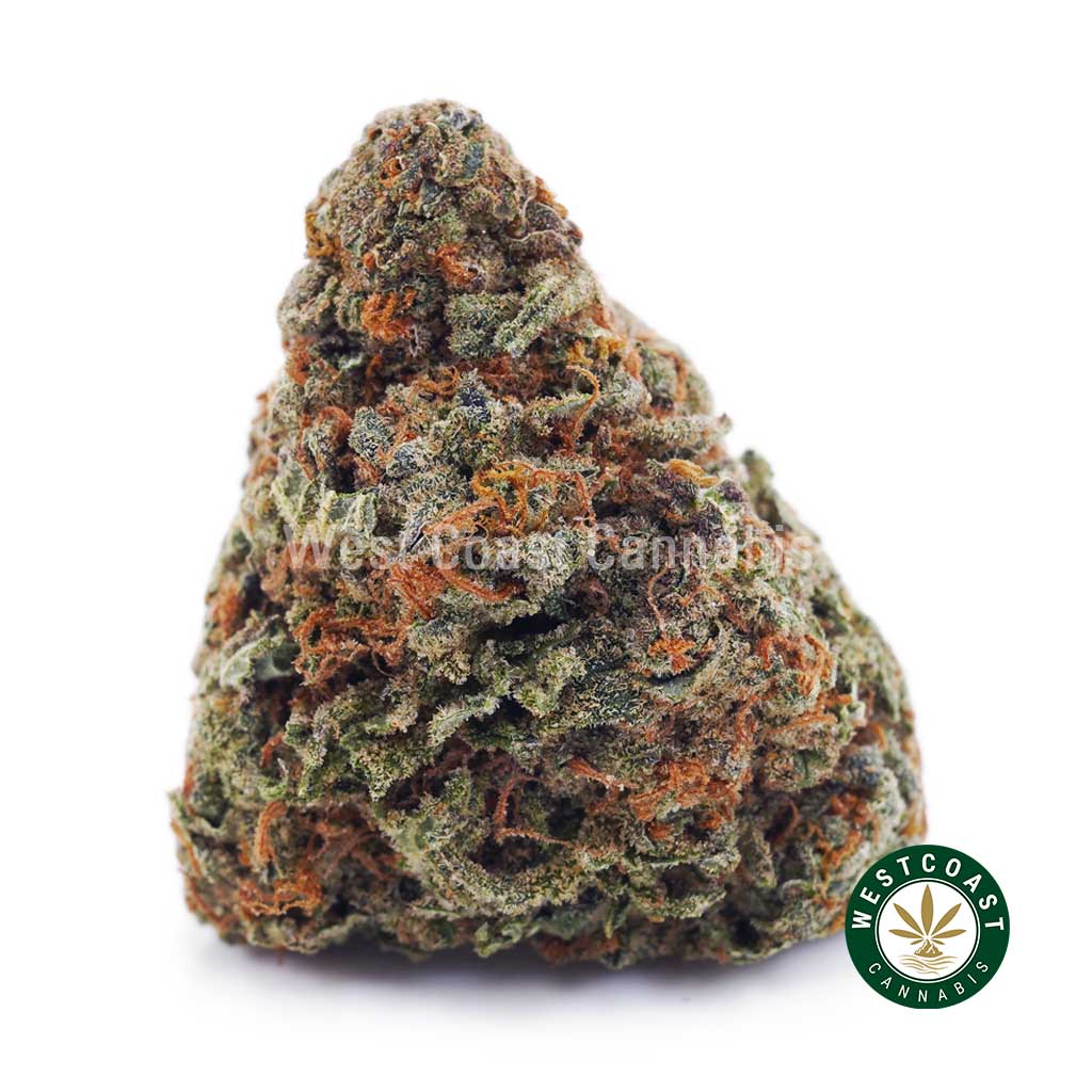 Buy Snowman OG AAAA wc cannabis weed dispensary & online pot shop Buy Snowman OG AAAA wc cannabis weed dispensary & online pot shop