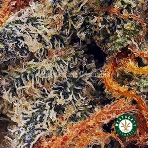 Buy Snowman OG AAAA wc cannabis weed dispensary & online pot shop
