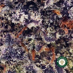 Buy Sugar Cookies AAAA (Popcorn Nugs) wc cannabis weed dispensary & online pot shop