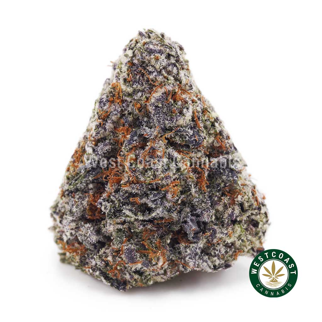 Super Orange Creamsicle AAAA+ 1 Buy Super Orange Creamsicle AAAA+ wc cannabis weed dispensary & online pot shop