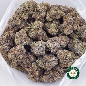 Buy Super Orange Creamsicle AAAA+ wc cannabis weed dispensary & online pot shop Buy Super Orange Creamsicle AAAA+ wc cannabis weed dispensary & online pot shop