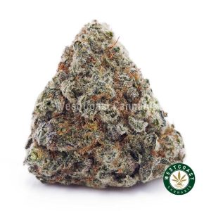 Buy Super Silver Haze AAAA wc cannabis weed dispensary & online pot shop
