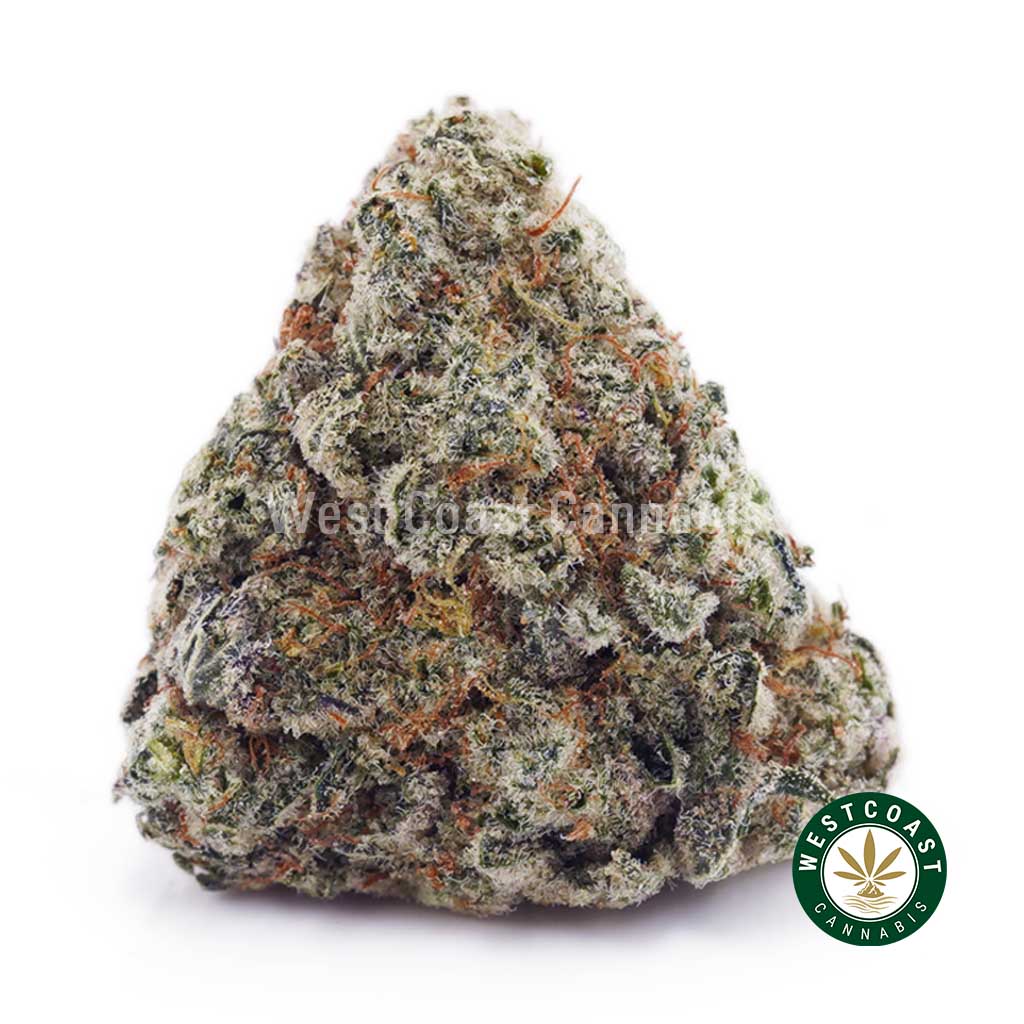 Buy Super Silver Haze AAAA wc cannabis weed dispensary & online pot shop Buy Super Silver Haze AAAA wc cannabis weed dispensary & online pot shop