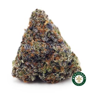Buy Supreme Death Bubba AAAA+ wc cannabis weed dispensary & online pot shop