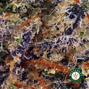 Buy Supreme Death Bubba AAAA+ wc cannabis weed dispensary & online pot shop