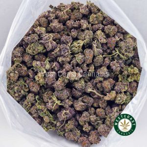 Buy Tangerine Dream AAAA (Popcorn Nugs) wc cannabis weed dispensary & online pot shop