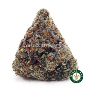 Buy Tom Ford Pink Kush AAAA+ wc cannabis weed dispensary & online pot shop