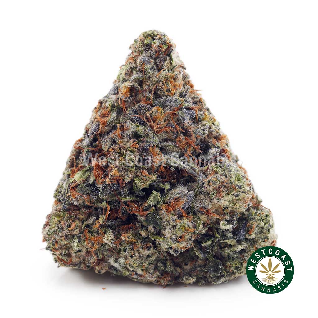 Tom Ford Pink Kush AAAA+ 1 Buy Tom Ford Pink Kush AAAA+ wc cannabis weed dispensary & online pot shop