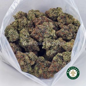Tom Ford Pink Kush AAAA+ 3 Buy Tom Ford Pink Kush AAAA+ wc cannabis weed dispensary & online pot shop