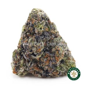 Buy Vintage Gas AAAA wc cannabis weed dispensary & online pot shop