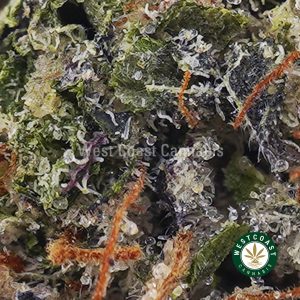 Buy Vintage Gas AAAA wc cannabis weed dispensary & online pot shop