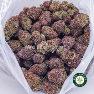 Buy Watermelon Punch AAAA wc cannabis weed dispensary & online pot shop Buy Watermelon Punch AAAA wc cannabis weed dispensary & online pot shop