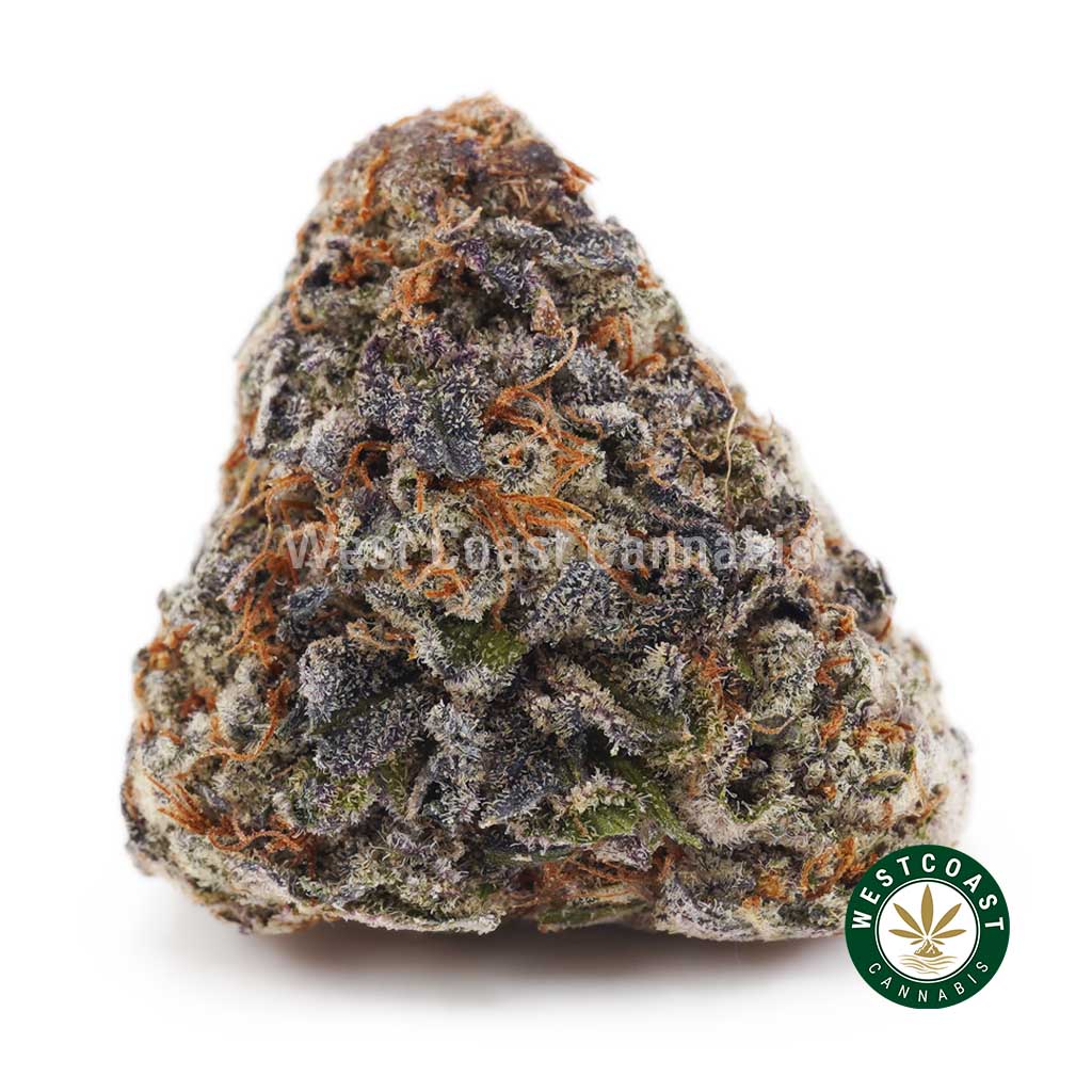 Buy White Cherry Gelato AAAA+ wc cannabis weed dispensary & online pot shop Buy White Cherry Gelato AAAA+ wc cannabis weed dispensary & online pot shop