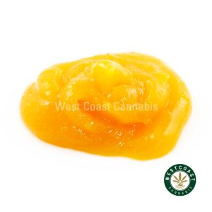 Y290A2 CHERRYBOMB LIVERESIN WCCANNABIS Buy Live/Resin - Cherry Bomb (Sativa) at Wccannabis Online Shop