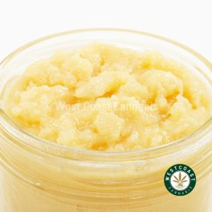 Y290A3 DANTESINFERNO LIVERESIN WCCANNABIS Buy Live/Resin - Dante's Inferno at Wccannabis Online Shop
