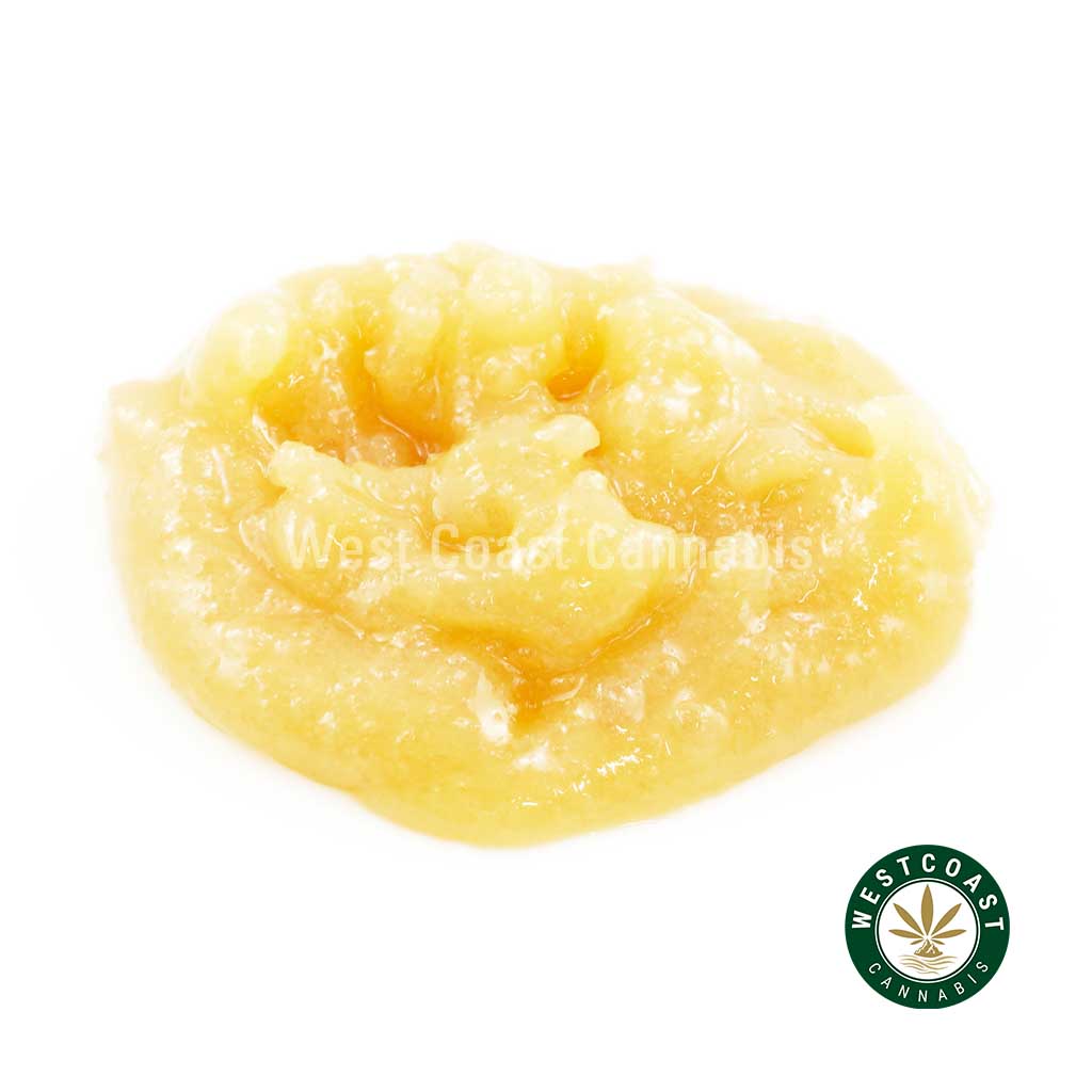 Y291A1 DONNYBURGER CAVIAR WCCANNABIS Buy Caviar - Donny Burger at Wccannabis Online Shop