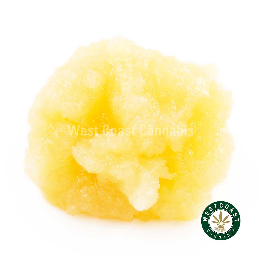Y291A1 OGOCTANE CAVIAR WCCANNABIS Buy Caviar - OG Octane (Indica) at Wccannabis Online Shop