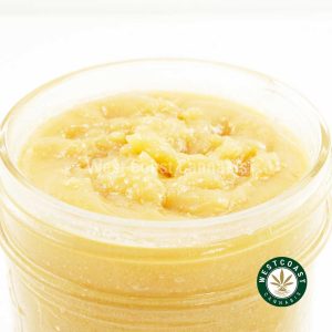Y291A3 DONNYBURGER CAVIAR WCCANNABIS Buy Caviar - Donny Burger at Wccannabis Online Shop