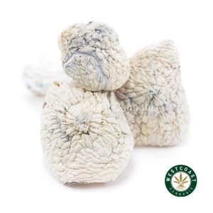 Y414A1 ALBINOJEDIMINDFUCK SHROOMS WCCANNABIS