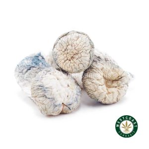 Y414A1 ALBINOPENISENVY SHROOMS WCCANNABIS
