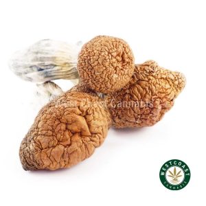 Y414A1 TIDALWAVE SHROOMS WCCANNABIS