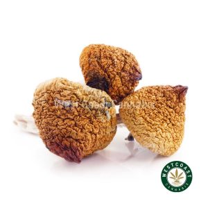 Y414A1 TREASURECOAST SHROOMS WCCANNABIS