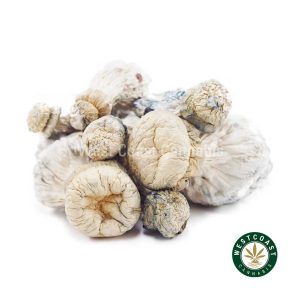 Y414A2 SV13 SHROOMS WCCANNABIS Y414A2 SV13 SHROOMS WCCANNABIS