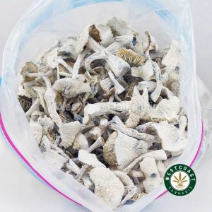 Y414A3 EXTRATERESTRIAL SHROOMS WCCANNABIS