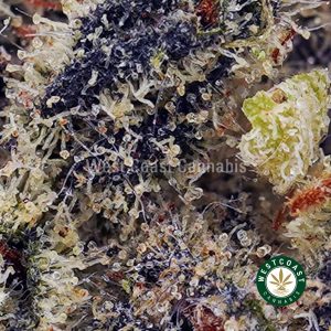 Buy Granddaddy Purple AAAA wc cannabis weed dispensary & online pot shop