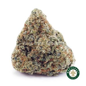 Buy Critical Haze AAAA wc cannabis weed dispensary & online pot shop