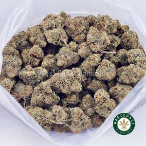 Buy Critical Haze AAAA wc cannabis weed dispensary & online pot shop Buy Critical Haze AAAA wc cannabis weed dispensary & online pot shop