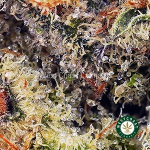 Buy Blue Dream AAAA wc cannabis weed dispensary & online pot shop