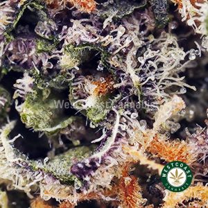 Buy Blackberry Cheesecake AAAA wc cannabis weed dispensary & online pot shop
