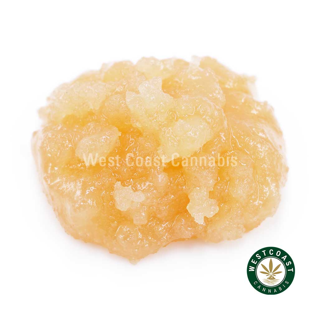 Y430A1 CRAZYGLUE CAVIAR WCCANNABIS Buy Caviar - Crazy Glue (Hybrid) at Wccannabis Online Shop