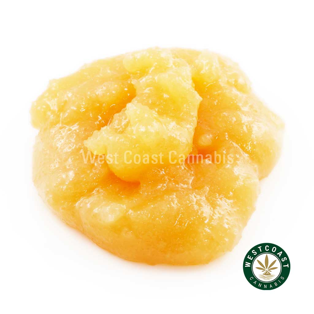 Y430A1 SUPERSKUNK CAVIAR WCCANNABIS Buy Caviar - Super Skunk (Indica) at Wccannabis Online Shop