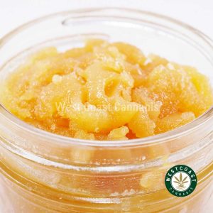 Y430A3 ROCKTUNA CAVIAR WCCANNABIS Buy Caviar - Rock Tuna at Wccannabis Online Shop