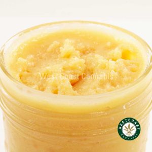 Y430A3 SENSISTAR CAVIAR WCCANNABIS Buy Caviar - Sensi Star (Indica) at Wccannabis Online Shop