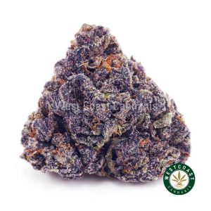 Y485A1 SOURCHERRYBLASTER WCCANNABIS Y485A1 SOURCHERRYBLASTER WCCANNABIS